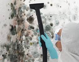 Best Mold Odor Removal Services in Shiloh, PA